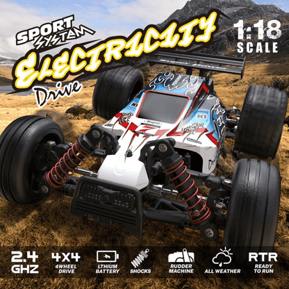 2.4G 1:18 R/C car