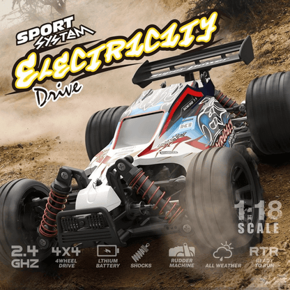2.4G 1:18 R/C car