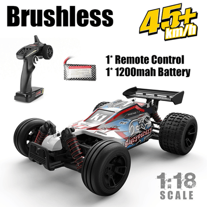 2.4G 1:18 R/C car