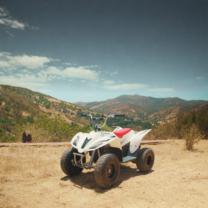 Razor Dirt Quad 500W 15Km H 14+